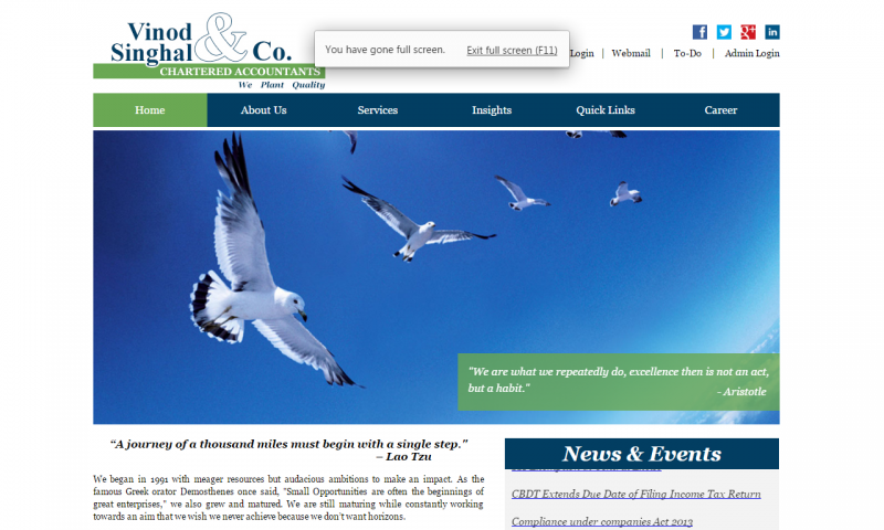 Vinod Singhal & Co. - website screenshot_3